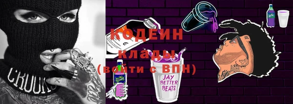 крисы Абаза
