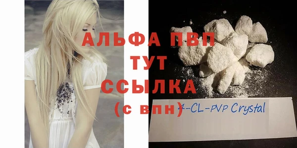 крисы Абаза