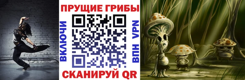 KRAKEN зеркало  Усолье  Галлюциногенные грибы мицелий  где можно купить  